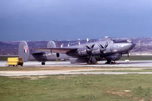 Aimg547S (2).webp
